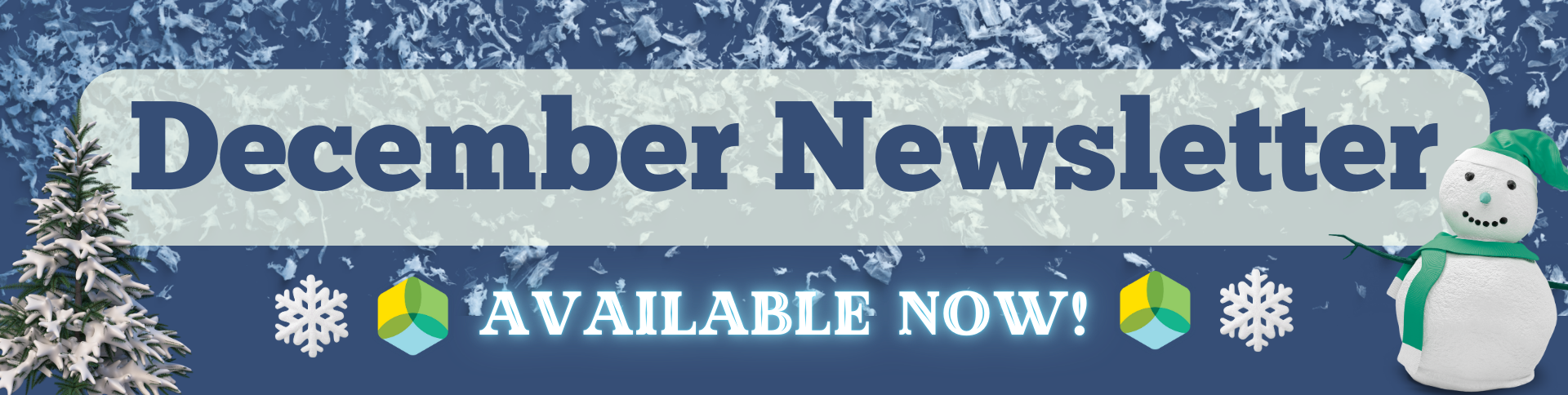 december newsletter available now