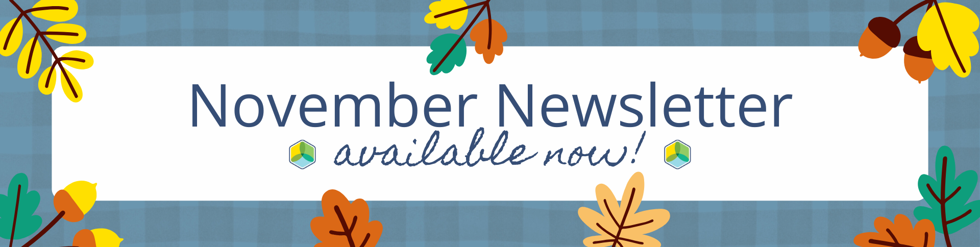 November newsletter available now