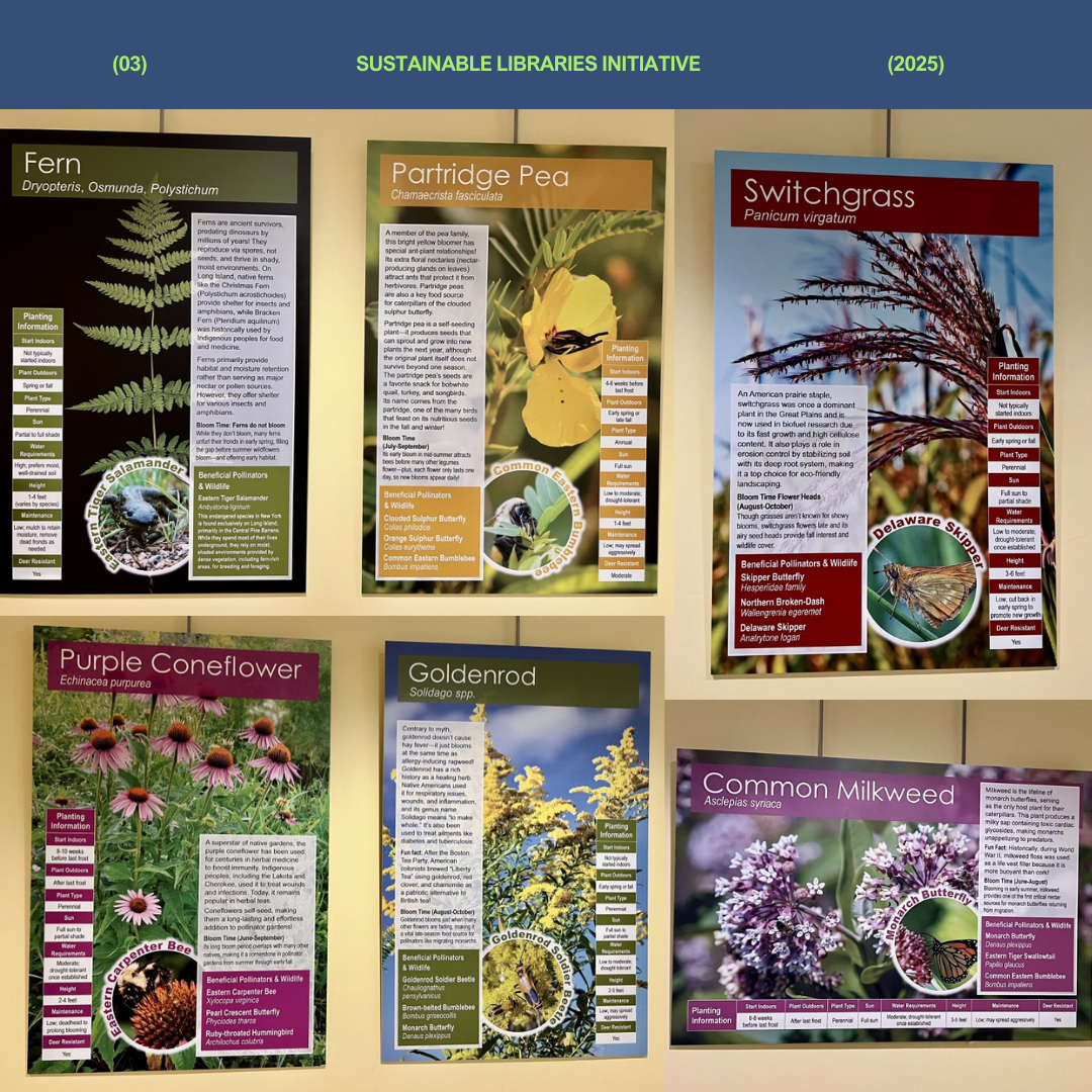 Lessons From My Sustainable Library - Longwood Public Library 